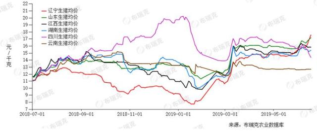 南北猪价分化 东北领涨全国但迟迟未有效突破