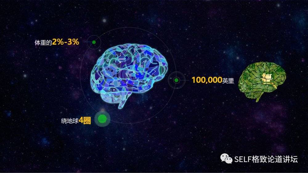 神经外科医生：刀尖上跳舞的“拆弹专家”