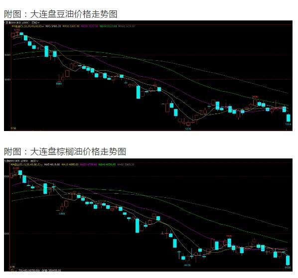 原油期价暴跌至历史性的负值 国内油脂承压期现