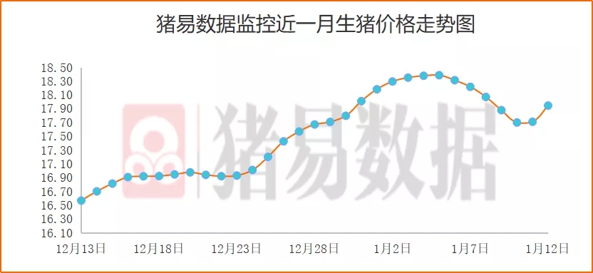 猪价现全面上涨模式 不少北方猪企涨幅达1.0元