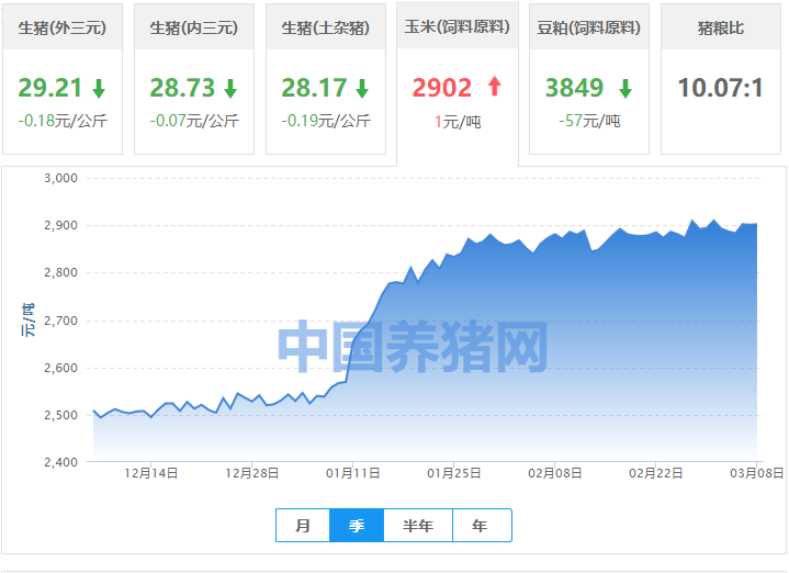 疯狂上涨！粮价涨至高位 种粮成本也跟着大涨