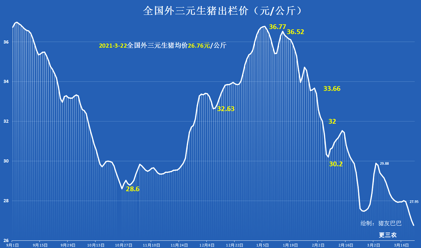 3月22日猪价预警：探底回落！北方多地止跌 猪价