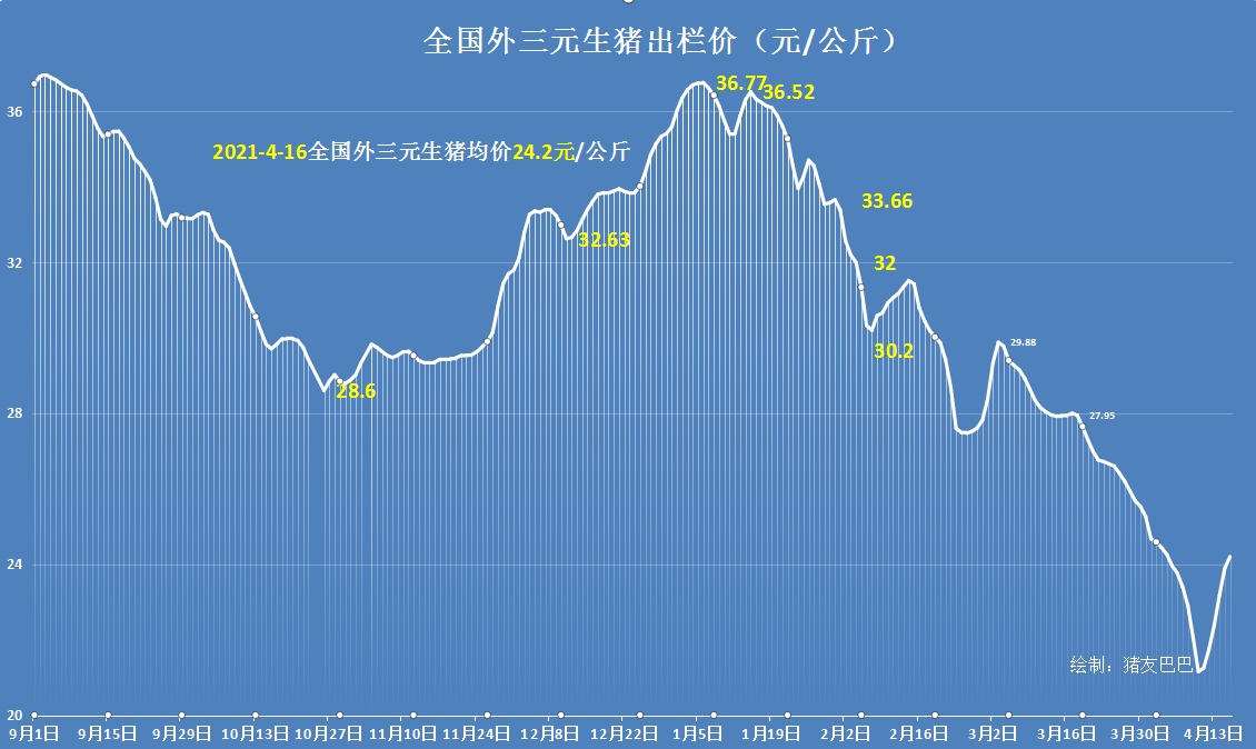 紫气东来！猪价涨翻天6天大涨3.05元 养殖户发愁