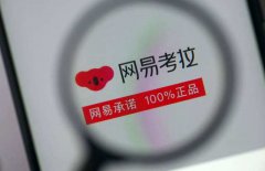 阿里 20 亿美元收购网易考拉交易进入尾声