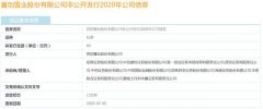 首创置业：60亿元公司债券获上交所通过