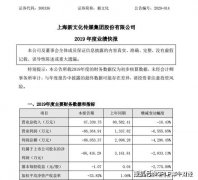 新文化2019净亏8.6亿同比下降2833% 拥抱李佳琦压注