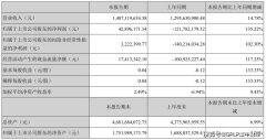 贝因美2020年上半年扭亏为盈的背后：补助占净利