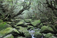 蚂蚁庄园10月22日庄园小课堂答案 洞中方一日世上