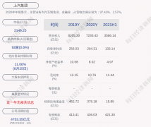 上汽集团 2021 年上半年净利涨近 60%，但仍未赶上