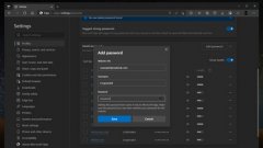 跟随 Chrome 浏览器，微软 Edge 也将支持手动添加第