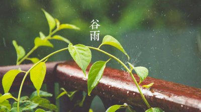 谷雨朋友圈文案短句有哪些 谷雨朋友圈文案短句