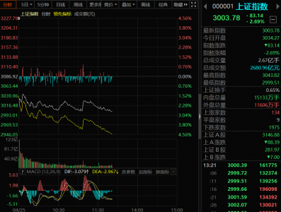 沪指盘中跌破3000点 两市下跌个股4300余只