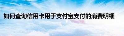 如何查询信用卡用于支付宝支付的消费明细？ 信