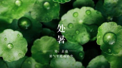 处暑时节秋高气爽更适合形容？蚂蚁庄园8月23日