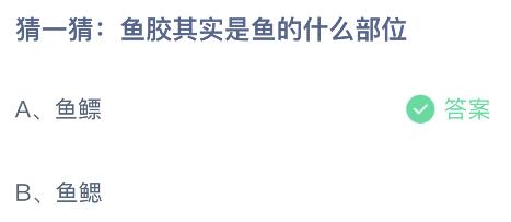 鱼胶其实是鱼的什么部位？鱼鳔还是鱼鳃 蚂蚁庄园今日答案9.26