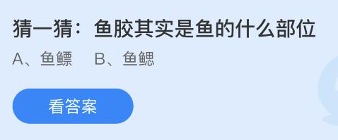 鱼胶其实是鱼的什么部位？鱼鳔还是鱼鳃 蚂蚁庄园今日答案9.26