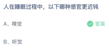 人在睡眠过程中以下哪种感官更迟钝？蚂蚁庄园今日答案最新10.15