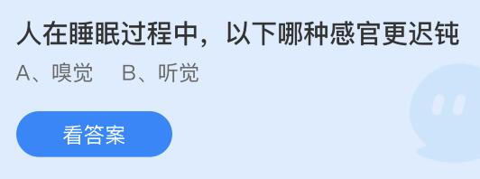 人在睡眠过程中以下哪种感官更迟钝？蚂蚁庄园今日答案最新10.15