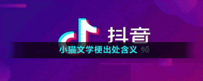 小猫文学是什么梗 抖音小猫文学梗出处含义