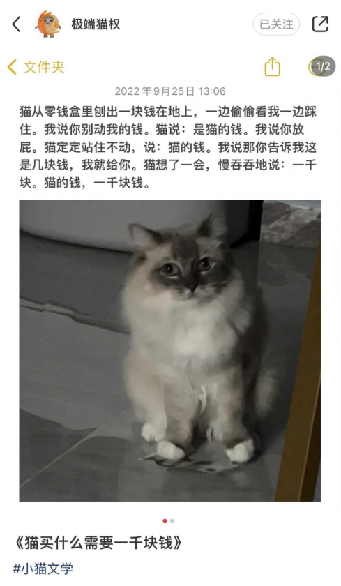 小猫文学梗出处含义