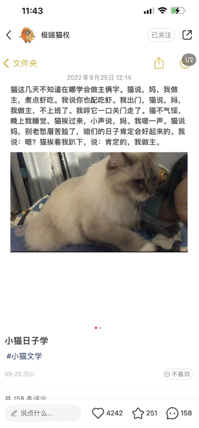 小猫文学梗出处含义