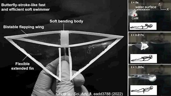 灵感来自魔鬼鱼 科学家开发出迄今为止最快游泳机器人