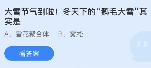 大雪节气到啦冬天下的鹅毛大雪其实是？蚂蚁庄园今日答案最新12.7