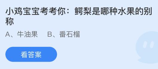 鳄梨是哪种水果的别称？蚂蚁庄园课堂12月14日今天答案最新