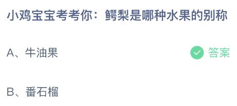 鳄梨是哪种水果的别称？蚂蚁庄园课堂12月14日今天答案最新