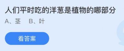 人们平时吃的洋葱是植物的哪部分？蚂蚁庄园2