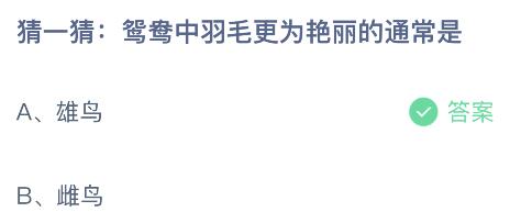 鸳鸯中羽毛更为艳丽的通常是雄鸟还是雌鸟？蚂蚁庄园2月16日答案