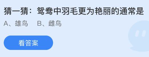 鸳鸯中羽毛更为艳丽的通常是雄鸟还是雌鸟？蚂蚁庄园2月16日答案