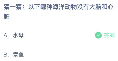 以下哪种海洋动物没有大脑和心脏？蚂蚁庄园4.12今日答案最新