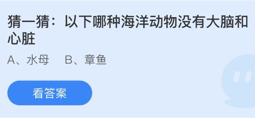 以下哪种海洋动物没有大脑和心脏？蚂蚁庄园4.12今日答案最新