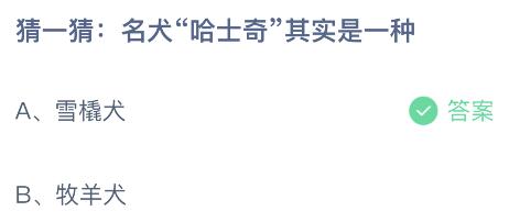 名犬哈士奇其实是一种什么犬种？蚂蚁庄园4月14日今天小鸡答题答案最新