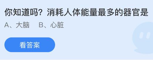 消耗人体能量最多的器官是什么？蚂蚁庄园4.19今日答案      