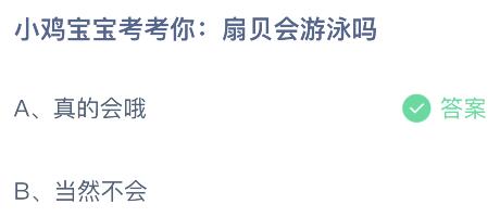 扇贝会游泳吗？2023蚂蚁庄园4.22今日答案最新