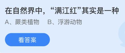 在自然界中满江红其实是一种什么？蚂蚁庄园小鸡课堂6月13日最新答案