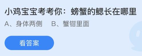 蚂蚁庄园6.20今日答案最新：螃蟹的鳃长在哪里？身体两侧还是蟹钳里面