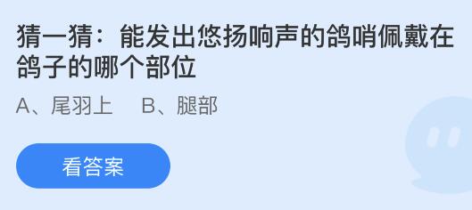 能发出悠扬响声的鸽哨佩戴在鸽子的哪个部位？蚂蚁庄园小鸡课堂最新答案7月26日