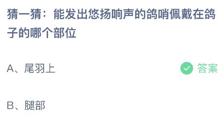 能发出悠扬响声的鸽哨佩戴在鸽子的哪个部位？蚂蚁庄园小鸡课堂最新答案7月26日