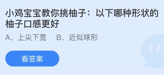 以下哪种形状的柚子口感更好？蚂蚁庄园小鸡课堂最新答案11月9日