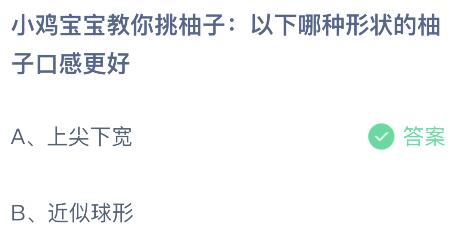 以下哪种形状的柚子口感更好？蚂蚁庄园小鸡课堂最新答案11月9日