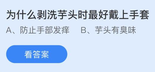 为什么剥洗芋头时最好戴上手套？蚂蚁庄园小鸡课堂最新答案11月23日