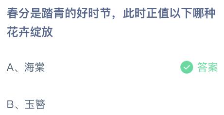 春分是踏青的好时节此时正值以下哪种花卉绽放？蚂蚁庄园小鸡课堂最新答案3月20日