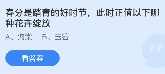 春分是踏青的好时节此时正值以下哪种花卉绽放？蚂蚁庄园小鸡课堂最新答案3月20日