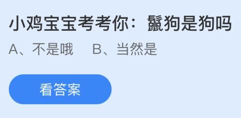 鬣狗是狗吗？鬣狗属于什么科目？蚂蚁庄园今日答案最新4.30