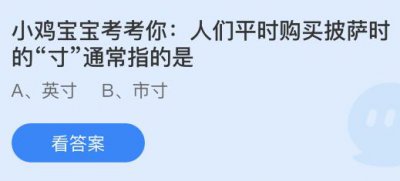 人们平时购买披萨时的“寸”通常指的是什么？