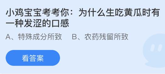 为什么在生吃黄瓜时有一种发涩的口感？蚂蚁庄园小鸡课堂最新答案5月11日