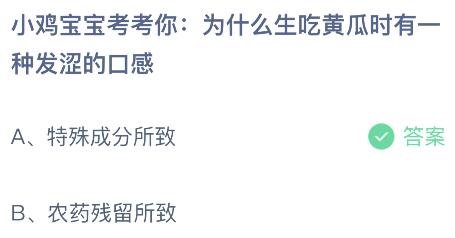 为什么在生吃黄瓜时有一种发涩的口感？蚂蚁庄园小鸡课堂最新答案5月11日